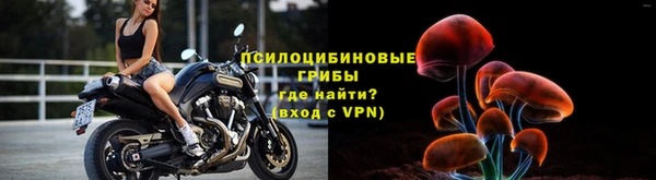 первитин Пересвет
