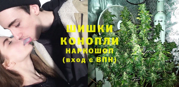 сатива Пестово