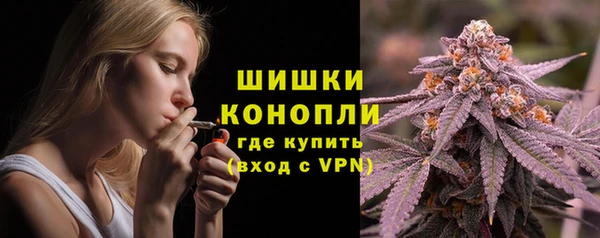 сатива Пестово